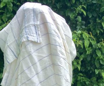Le motif du voile dans “Madame Bovary” et dans “L’Éducation sentimentale”